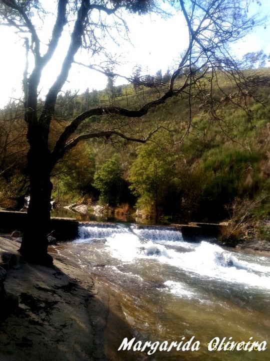 131325001_843511896482336_7108881325821491228_n.jp