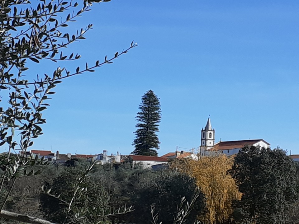 Aldeia. Torre Sineira. Araucária. Foto original. 2021.12.12.jpg