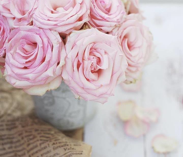 48404607_1916270518468811_4717794040173559808_n.jp