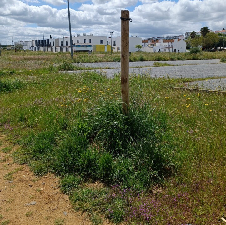 Parque verde acessível.jpg