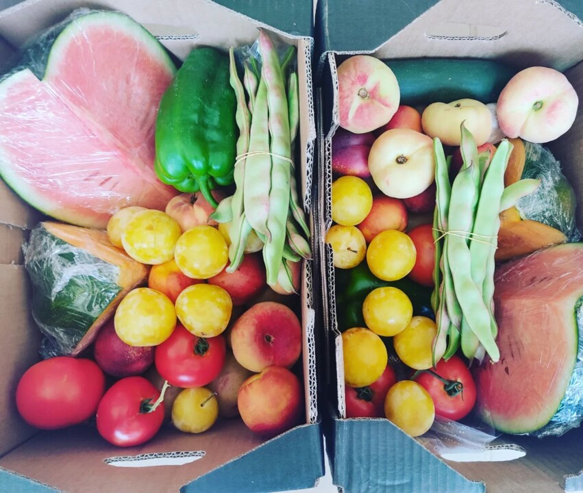 358407415_653220996835314_4565424035191983594_n.jp