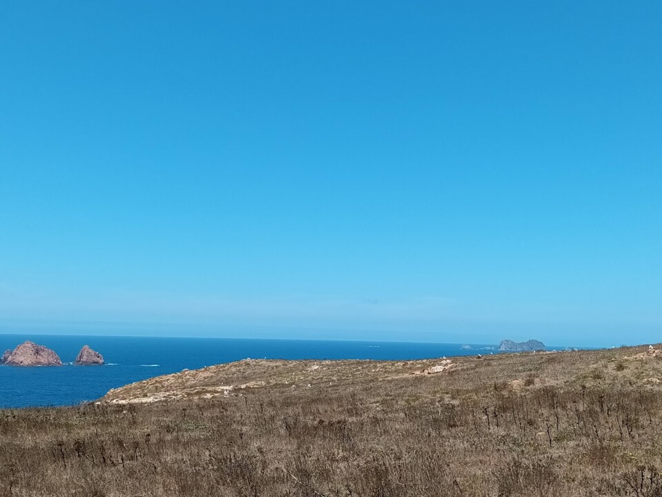 Não me canso disto_Berlengas 1k.jpg