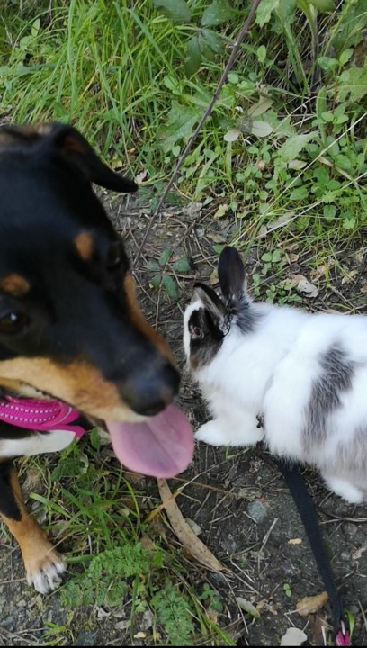 o tempo é _maggie Fluffy.jpg