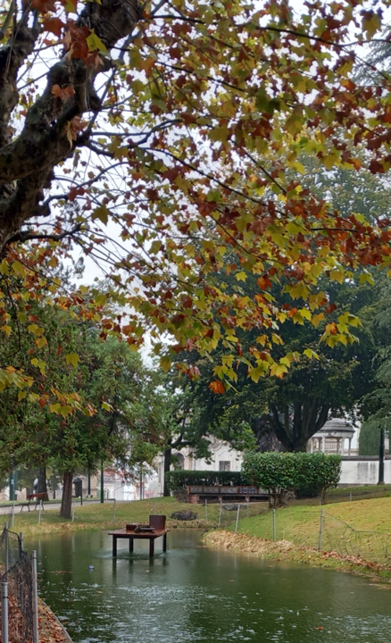 árvores no outono sobre um lago artificial
