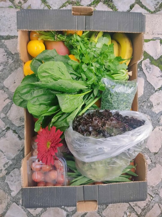 589957430_1939669016617972_8407694597215203394_n.j