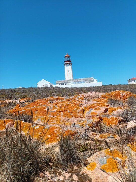 Não me canso disto_Berlengas 1m.jpg