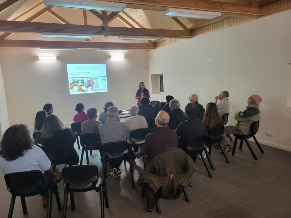 O Entardecer no Monte.jpg