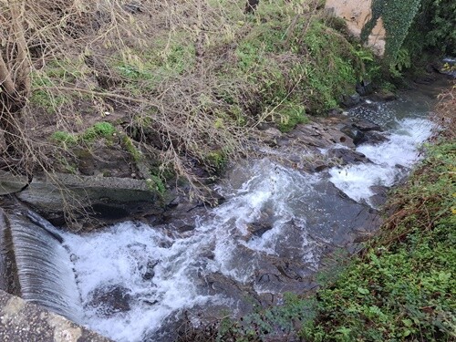 13a_Caminhada_Matinal (3).jpg