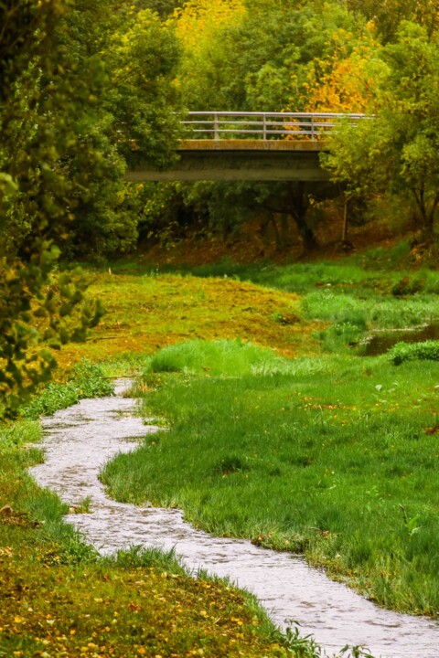 jardim rio da costa 12.jpg