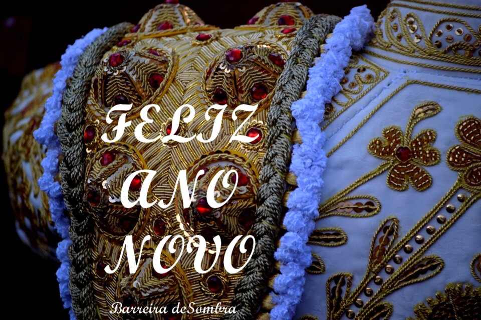 feliz ano novo.JPG