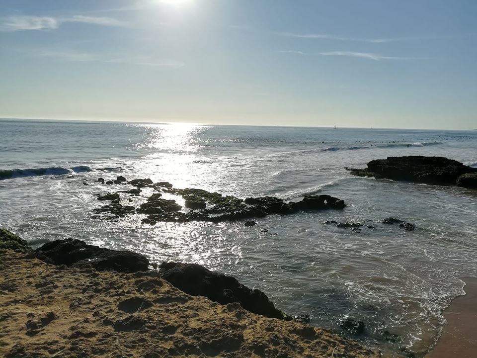 85251186_10157169123353565_1292326170120945664_o.j