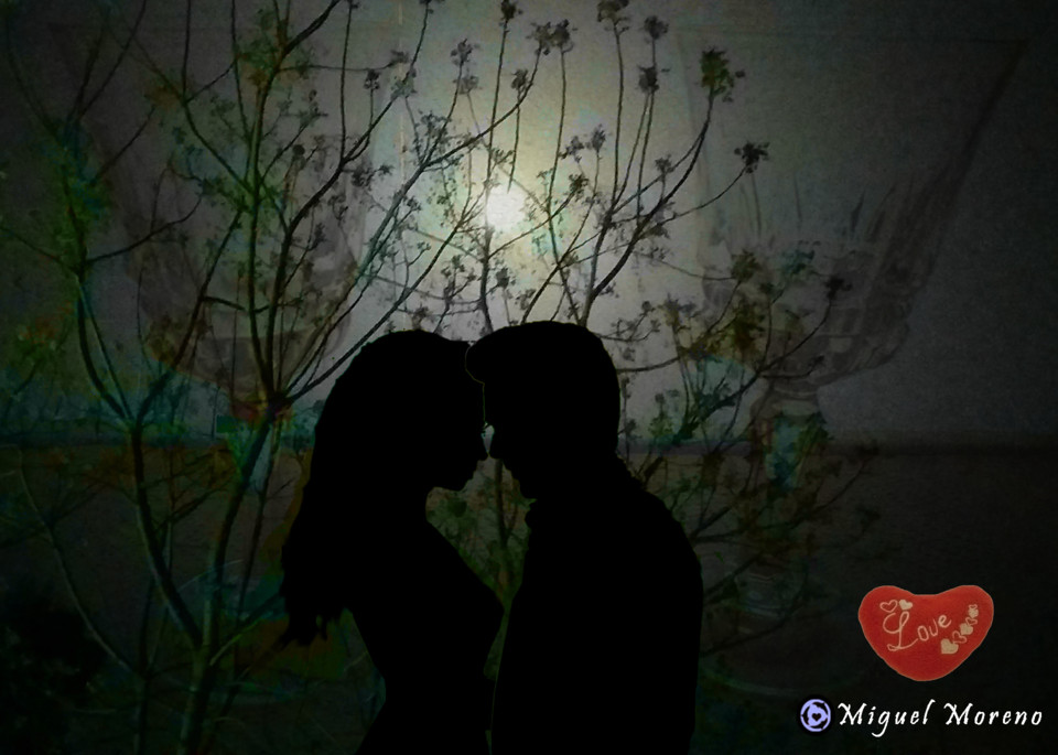 MM quem me dera cópia.jpg