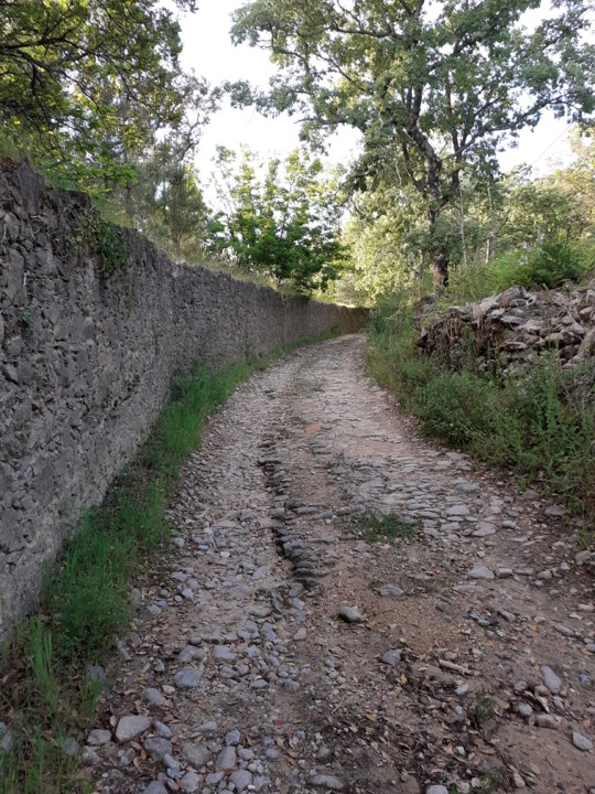 Calçada, de sul para norte. Foto original. 2021.05.12.jpg