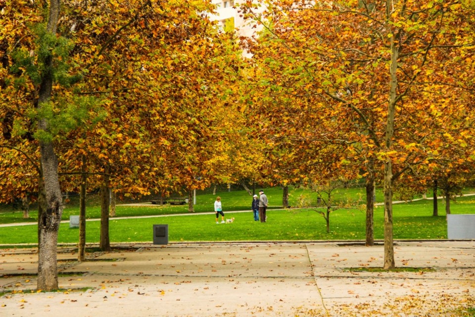 outono quinta das conchas 7.jpg