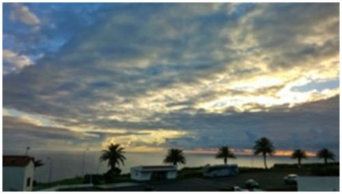 004 (1).jpg 004 (1).jpg