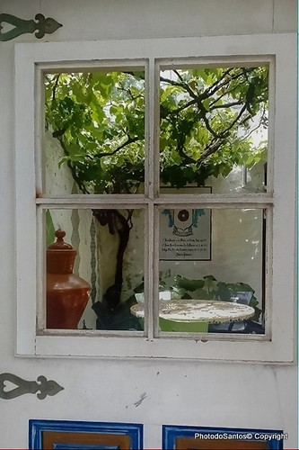 13725725_148716238866629_1276660630_nAnd2more_tone