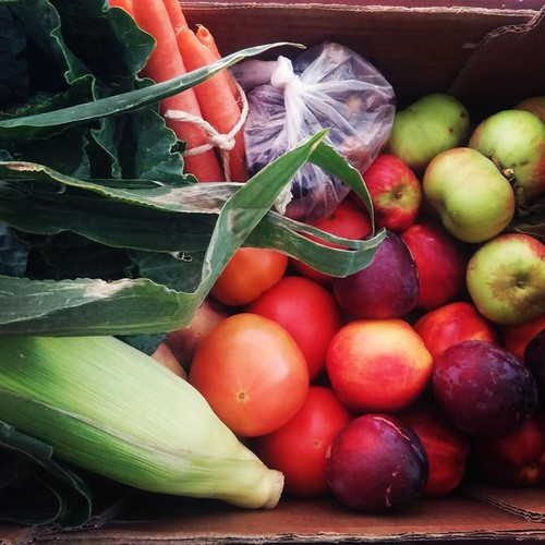 11695773_590958734377225_4218536310826128264_n.jpg 11695773_590958734377225_4218536310826128264_n.jpg