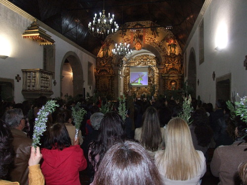 Valongo benção dos ramos.JPG