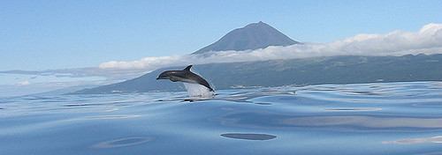 Pico-Açores.jpg