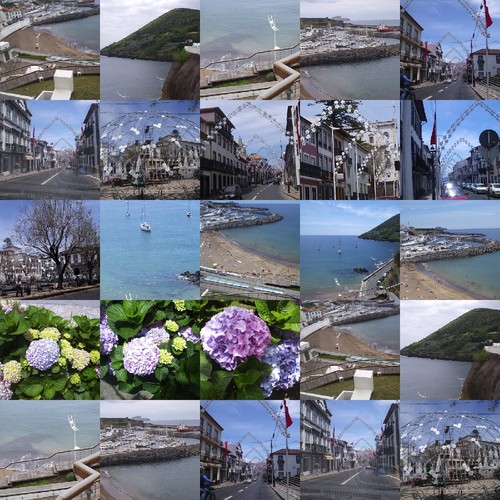 collage.jpg