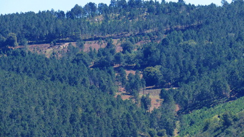 2017-08-06 11-24-30_1403.jpg