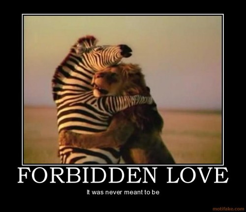 Forbidden Love