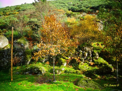 Fotos de Outono !!! 068.jpg