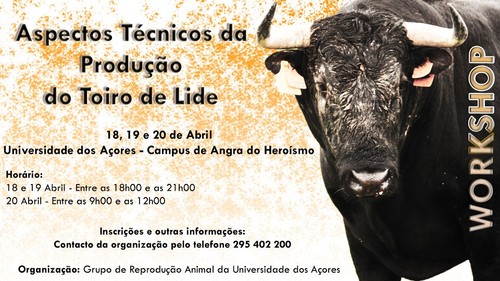 Workshop, no Pólo de Angra da UAç...