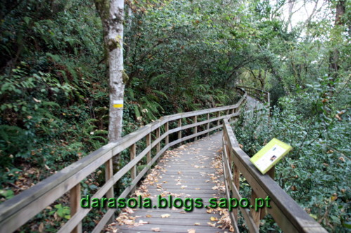 Passarelas_Rio_Mao_09.JPG Passarelas_Rio_Mao_09.JPG