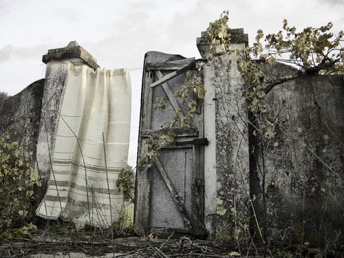 20101128 Cortinado HR (36) (1).jpg