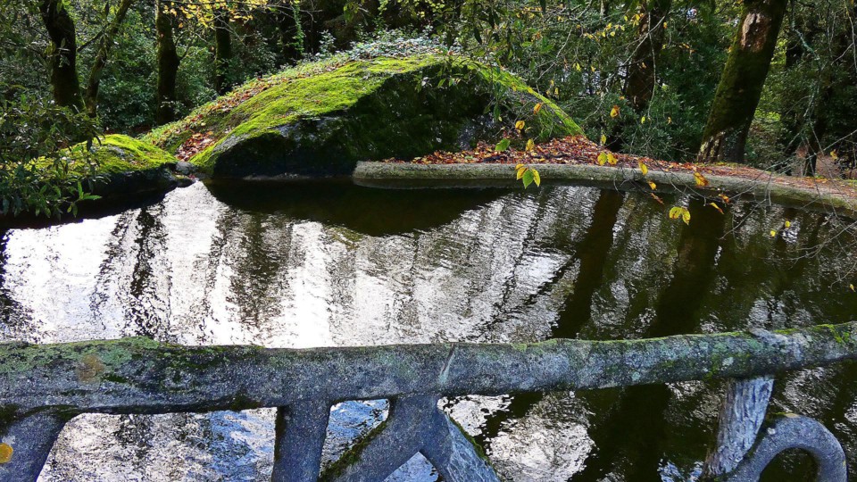 124191777_10218781123854284_3897357531570488251_o.