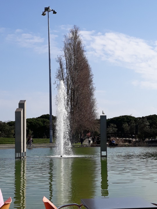 20200220_142509.jpg 20200220_142509.jpg