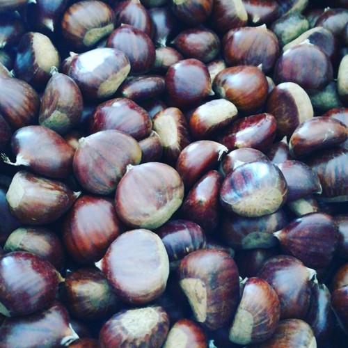 45201183_1235090629964029_7969887901691412480_n.jp