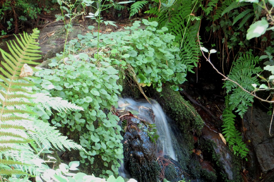 IMG_3196.JPG IMG_3196.JPG