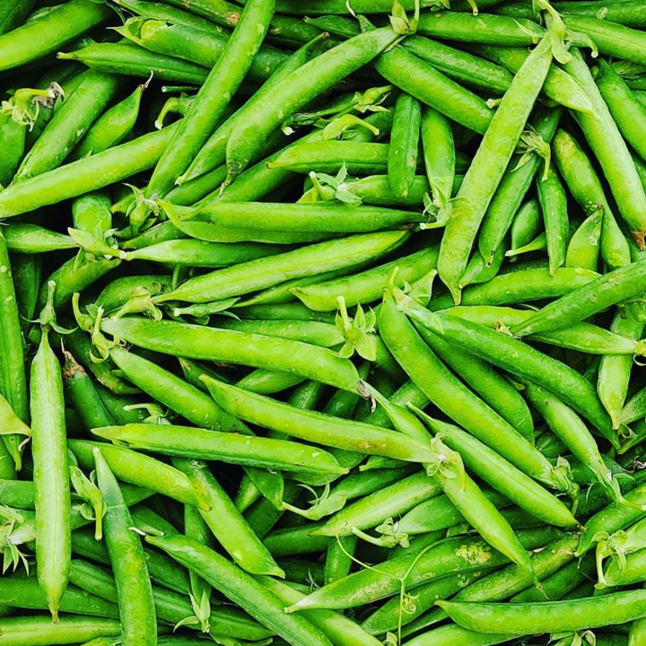 180515323_2009612079178543_5572166720512865899_n.j