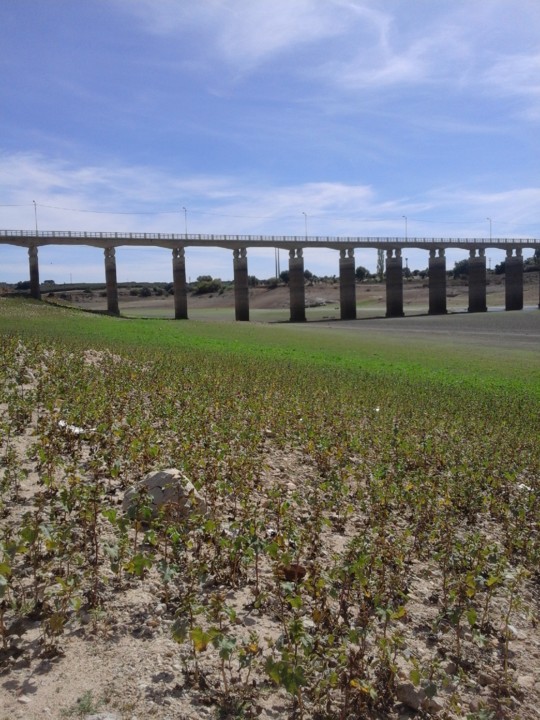 Ponte de Benavila. Foto original. 2019.10.03.jpg