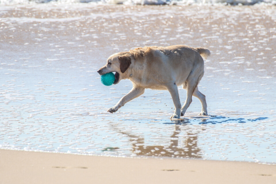 capitulo perfeito 27.jpg