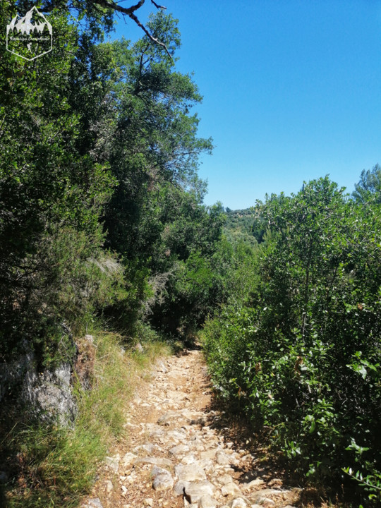 Photo_1596312395162.jpg Photo_1596312395162.jpg