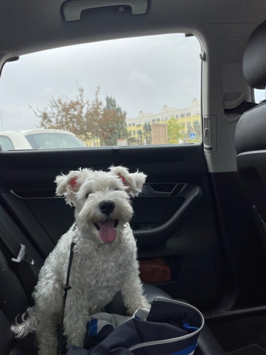 Imagem WhatsApp 2025-10-19 às 15.59.53_65f41bab.j