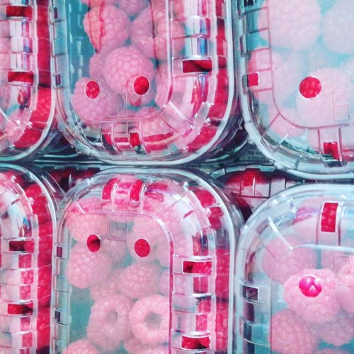 49474926_1288146484658443_5896471737805045760_n.jp