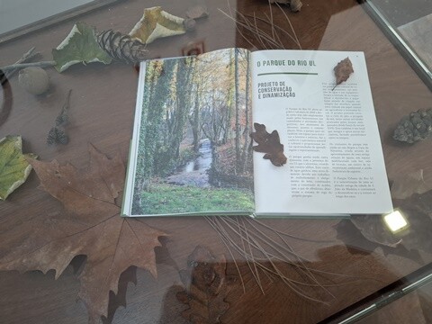 30a_Caminhada_a_Dois_PRU (13).jpg