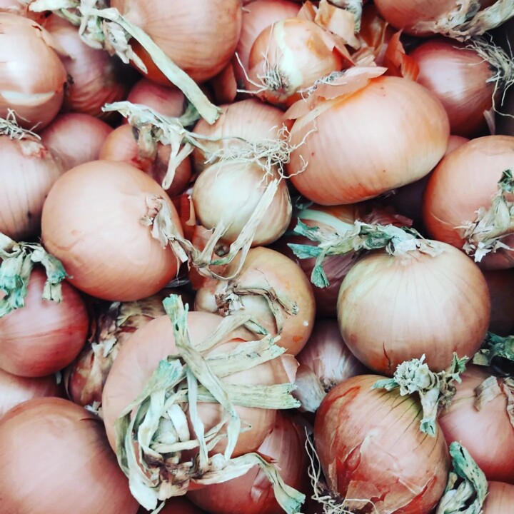 328343901_3028208190818036_4387063174929137676_n.j