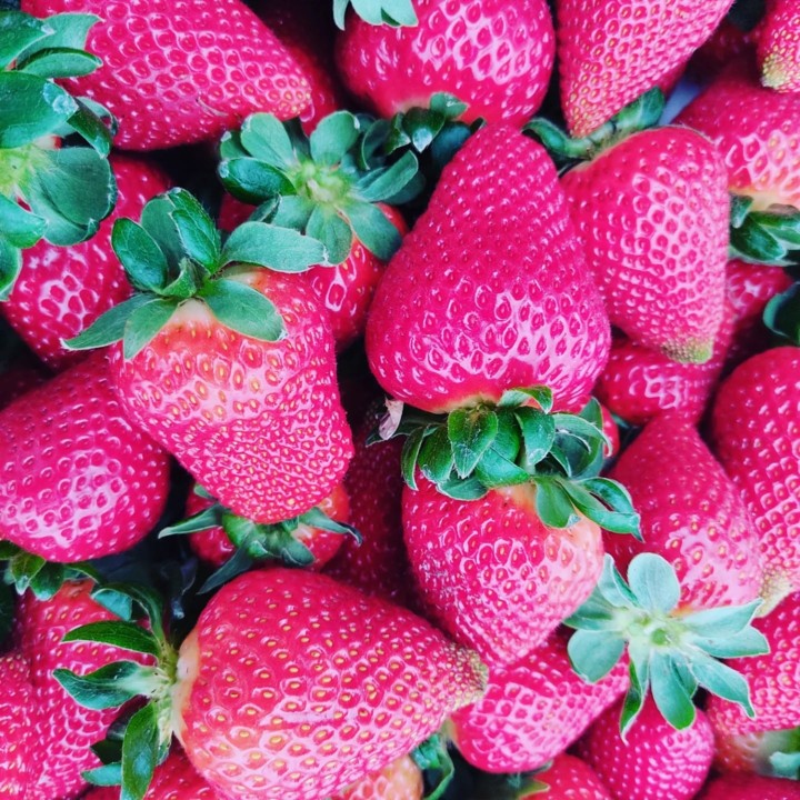 278064614_2281767318629683_4566607447065054598_n.j