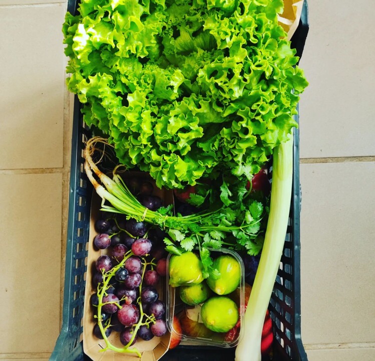 364079561_665426032281477_5378628342198867822_n.jp