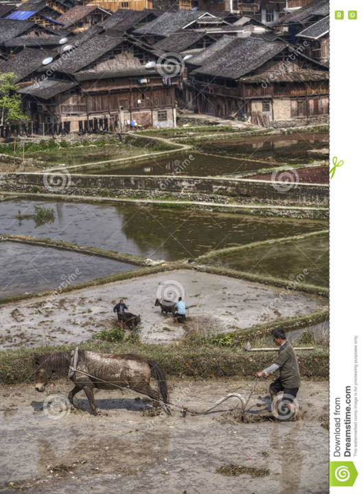o-fazendeiro-chinês-ara-terra-usando-o-poder-do-c o-fazendeiro-chinês-ara-terra-usando-o-poder-do-c
