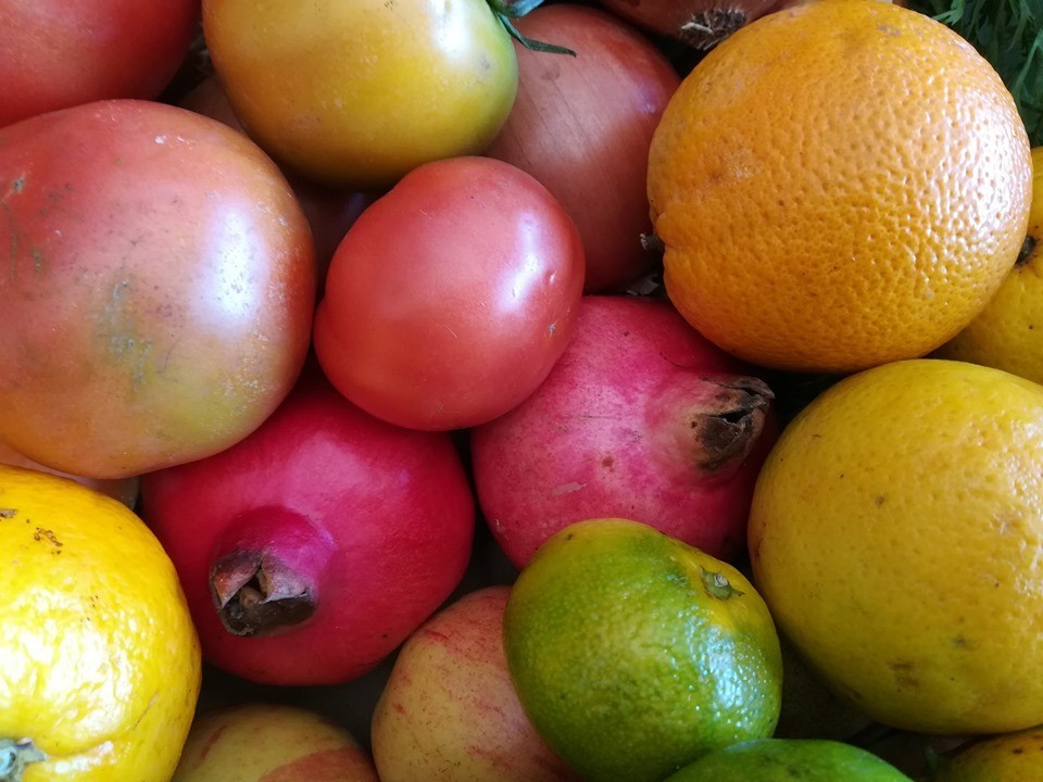 71178204_1478400178966405_7417618922049896448_n.jp 71178204_1478400178966405_7417618922049896448_n.jp