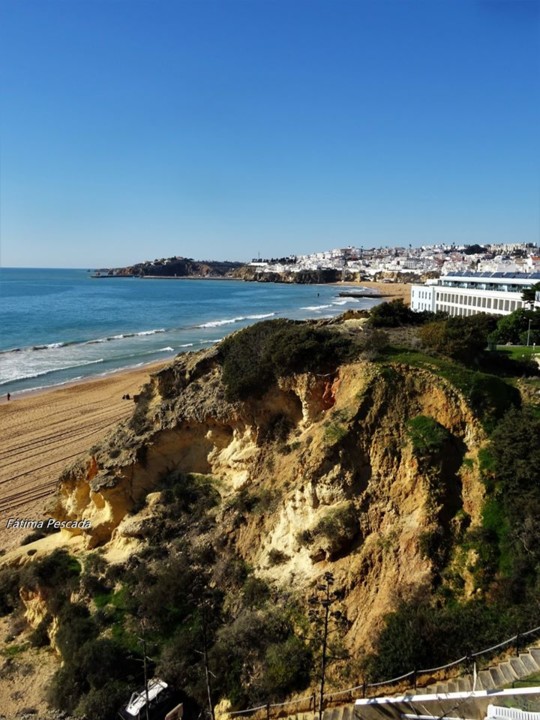 81351939_2570293723256085_2592830357405433856_o.jp