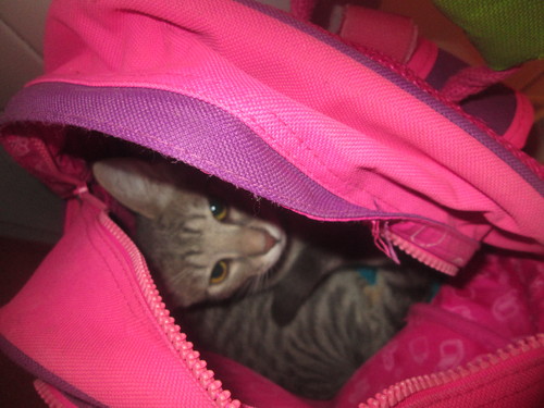 IMG_2883.JPG IMG_2883.JPG