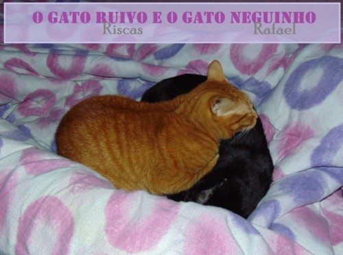 gatoruivo-e-neguinho.JPG