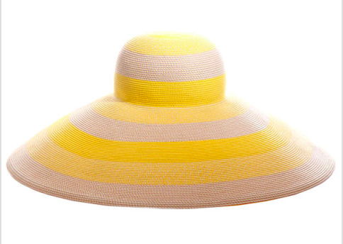 Eric Javits summer hat.png